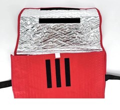 DOORDASH Large Insulated Pizza Delivery Bag Platinum Dasher 19x19x5″ NEW