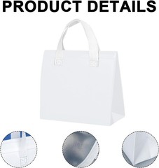 25 Pcs Insulated Take Away Bags Bulk 6 x 9.5 x 10 Inch One Size, White