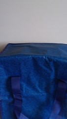 Durasack Blue Insulated Food Delivery Bag