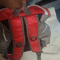 Red and Gray Insulated Food Delivery Backpack with Reflective Lining