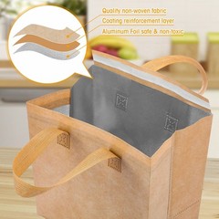 Kacctyen 100 Pcs Insulated Take Out Bags Bulk 9.5 x 6 x in, Kraft Color