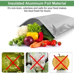 Insulated Food Storage Bag with Zipper Design, Hot Cold Cool 2530cm, Silver