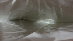 Schwan’s 24″ x 26″ Cold Keepers Insulated Thermal Foil Carry Freezer Bags, qty 2