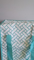 Patterned Teal Insulated Food Delivery Bag with Handles