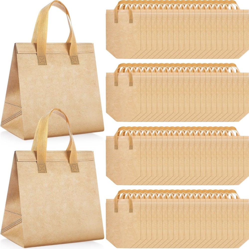 Kacctyen 100 Pcs Insulated Take Out Bags Bulk 9.5 x 6 x in, Kraft Color