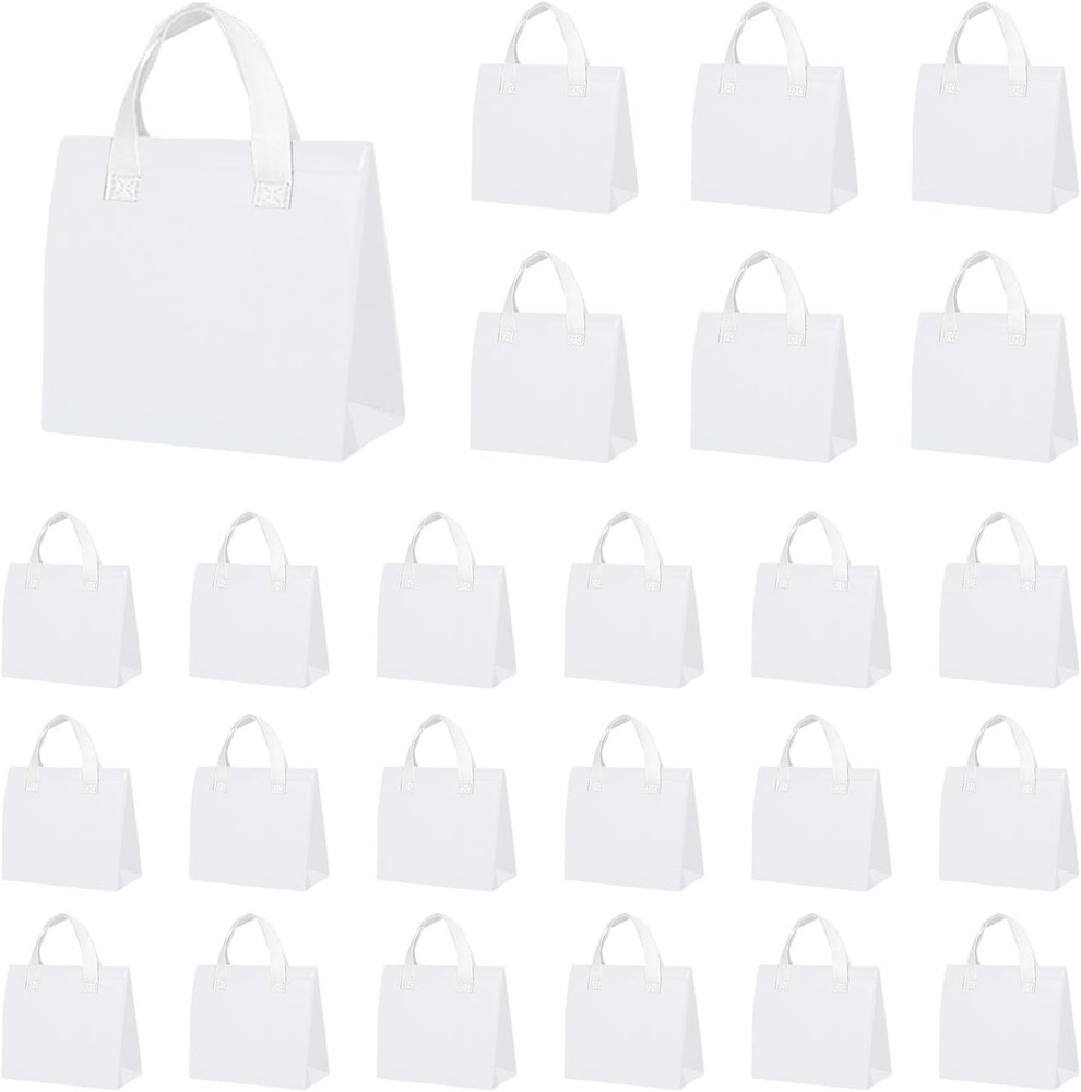 25 Pcs Insulated Take Away Bags Bulk 6 x 9.5 x 10 Inch One Size, White