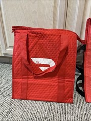 DoorDash Insulated Delivery Bags Set – Standard and Pizza Bags — 1-Owner!