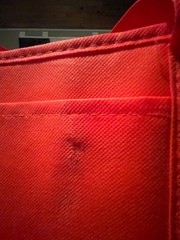 Giardanos Pizza Red Insulated bag