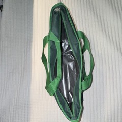 LogoBrands Gameday Insulated Tote Mexico Green Zippered Foil Lined