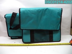 QTY=2: EARTHWISE Medium Insulated Bag Teal 15″ L X 8-1/2″ W X 13″ H