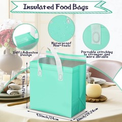 Kacctyen 100 Pcs Insulated Take Out Bags Bulk 9.5 x 6 x in, Multicolor