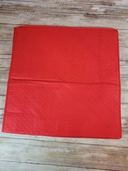 Doordash Delivery Red Insulated Pizza Carrier 2 Pizza Capacity