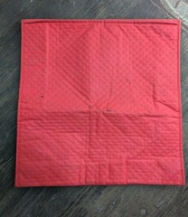 Door Dash Insulated Bag