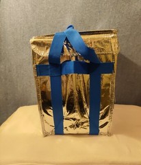 PACKIT Freezable Ultra Delivery Tote/Bag 23L 13.5 x 9 x 13
