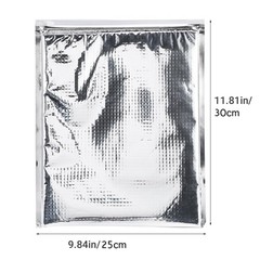 Insulated Food Storage Bag with Zipper Design, Hot Cold Cool 2530cm, Silver