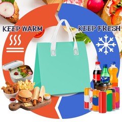 Kacctyen 100 Pcs Insulated Take Out Bags Bulk 9.5 x 6 x in, Multicolor