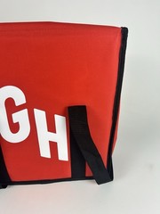 GH Red Insulated Cooler Tote Bag Soft Sided Zip Top 15x15x10 New Read