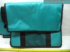 QTY=2: EARTHWISE Medium Insulated Bag Teal 15″ L X 8-1/2″ W X 13″ H