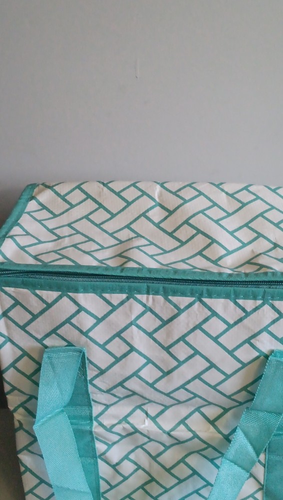 Patterned Teal Insulated Food Delivery Bag with Handles
