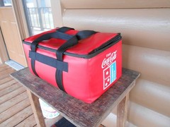 Genuine Domino’s Insulated Delivery Container
