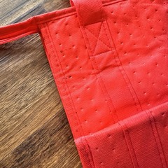 Doordash Insulated Food Delivery Bag Professional Authentic Zipper Handles
