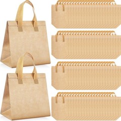 Kacctyen 100 Pcs Insulated Take Out Delivery Bags 9.5x6x9.5in Thermal