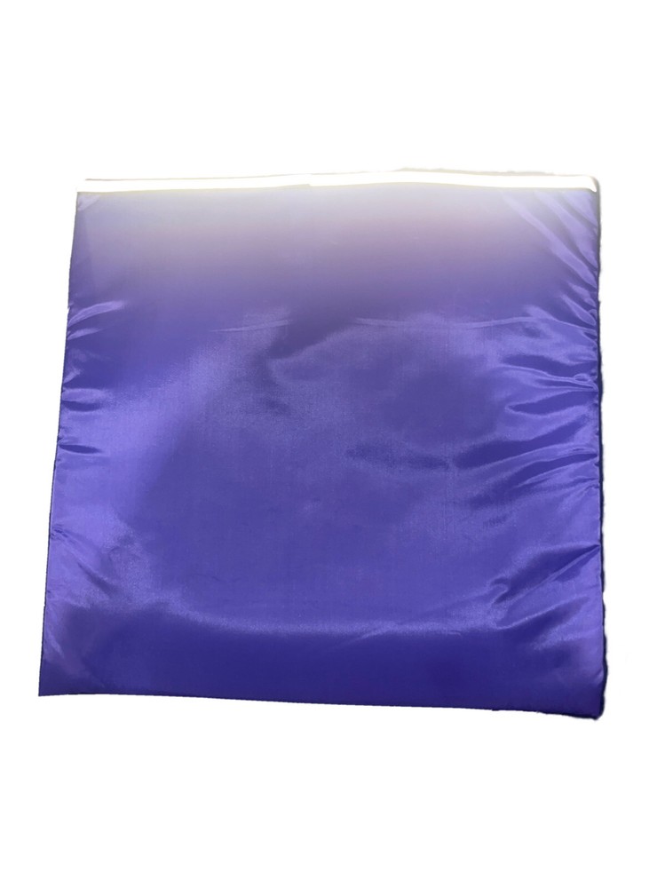 Insulated Takeaway/Delivery Pizza Bag — PURPLE — NEW