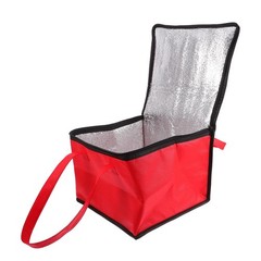 Insulated Food Bag 10.62X10.62X7.87In Portable Cooler Bag with Handle for Hot…