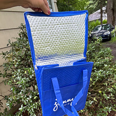 Jenny Craig Blue Insulated Zip-Top Food Delivery Tote Bag, Thermal Lining