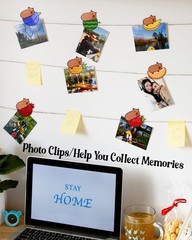7 PCS Cute Chip Clips Food 1.0 inches, Red, Blue, Green, Yellow, Pink, Orange
