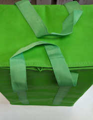 Insulated Food Delivery Bag for Catering, Green, 14″ x 12″ x 8″