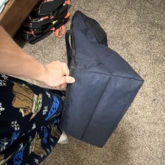 Domino’s Insulated Pizza Delivery Bag. cleaned thoroughly and properly sanitized