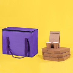 4 Pack Insulated Food Cool Warm Bag XX-Large Grocery Tote Reusable Bag Purple